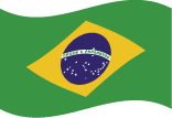 Brazilflag